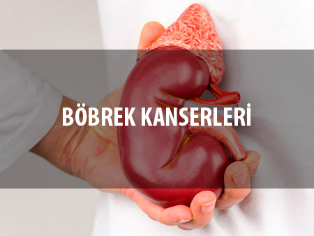 Böbrek Kanserleri